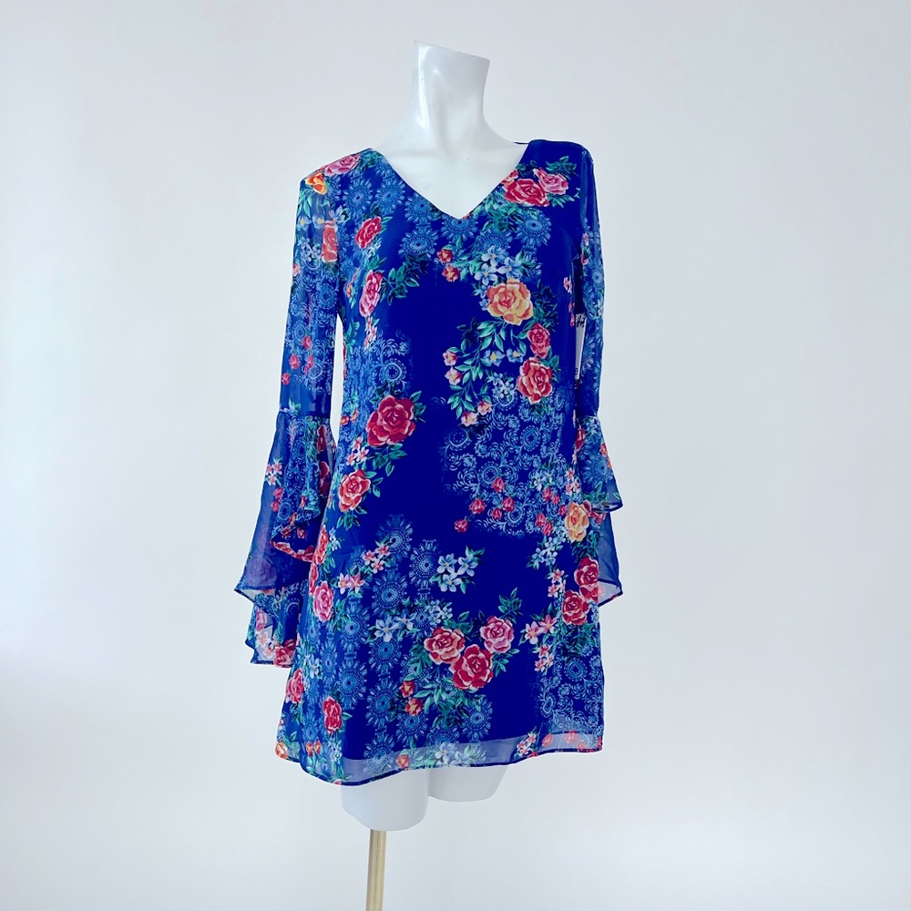 Kenzie chiffon long sleeve dress